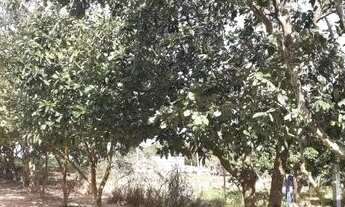 Imagem 2: Casa em Morro Grande