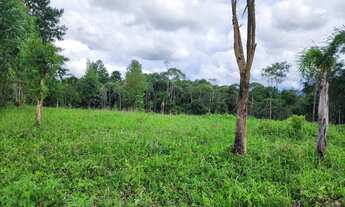 Imagem 3: Chacara belas Áreas Roseira Colombo/ Campina Grande do Sul