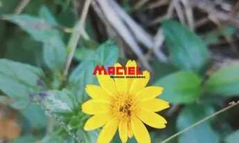 Imagem 5: Terreno Condomínio em Paraty