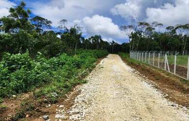 Imagem 5: Chacara belas Áreas Roseira Colombo/ Campina Grande do Sul