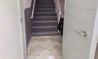 Imagem 6: Lindo Apto na Glória c/ 2qts, send 1 suíte, 2brs, 1vg, vrnd