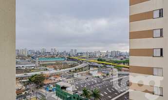 Imagem 6: Apartamento padrão em Quinta da Paineira - São Paulo