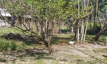 Imagem 5: Vende-se sítio com casa pra mora