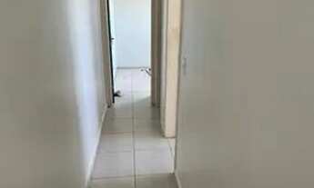 Imagem 4: Repasse - Transferência Salinas Marituba