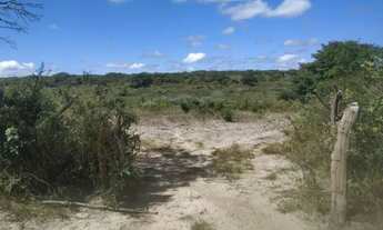 Imagem 2: Terreno com 20 tarefas de área à venda depois do Lameiro na Cidade do Crato