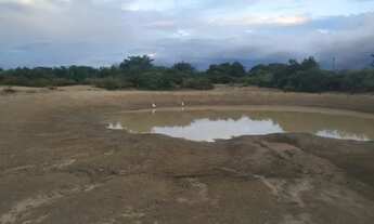 Imagem 6: Terreno com 20 tarefas de área à venda depois do Lameiro na Cidade do Crato
