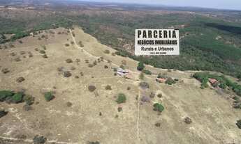 Imagem 5: Fazenda região de Curvelo 287 ha