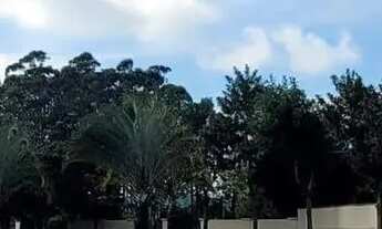 Imagem 2: Terreno à venda, Ingleses do Rio Vermelho, Florianópolis, SC