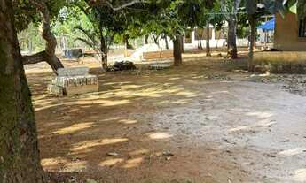 Imagem: Excelente Chácara em Planaltina de Goiás