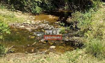 Imagem 5: Fazenda 169,42 Alqueires (820 Hectares) Ipameri - GO