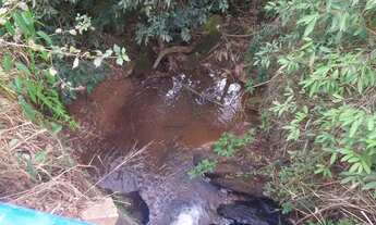 Imagem: Venda-se está propriedade de 4 alqueires