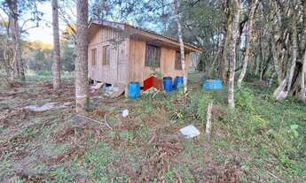 Imagem 7: Terreno com 1.000m² , à venda, no bairro Borda do Campo em São José dos Pinhais
