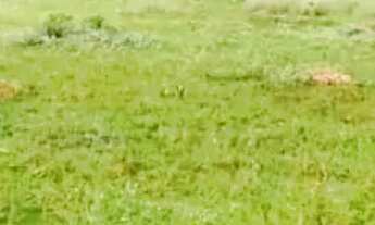 Imagem 3: Fazenda de Oportunidade em Ivolândia - GO