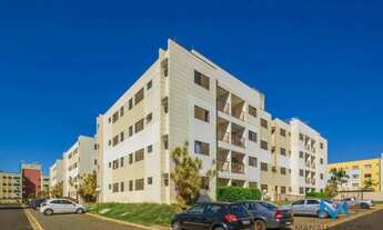 Imagem 3: Condomínio Universiflex - Apartamento com 2 dormitórios para alugar, 54 m² - Rua Delaine N