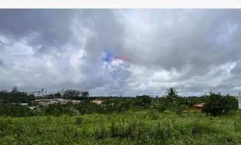 Imagem 4: Lotes à Venda no Mutirão Aramari/BA - Lote 09 - QD E - 211 m2