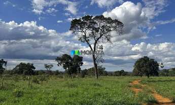 Imagem 4: FAZENDA À VENDA - 444 HECTARES - MORRO DA GARÇA (MG