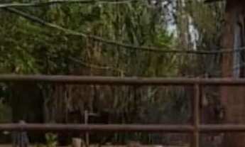 Imagem 7: Sitio 5,5 Alqueires[27 Hectares) 43 km major prates..energia Eletrica,Agua De Nascente