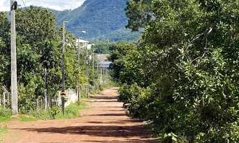 Imagem 5: Chácara 2.520 m² - 10 km de Palmas - Energia e Água - Oportunidade!