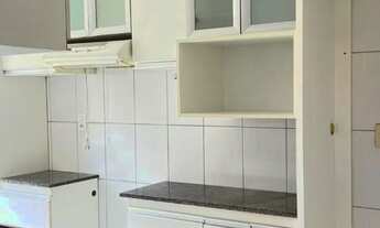 Imagem: Vendo Palmeiras