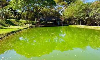 Imagem 2: Chácara 20 mil metros Aragoiânia
