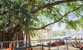 Imagem 2: Apartamento parque Madri