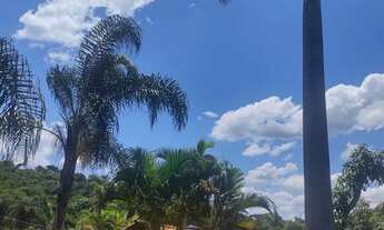 Imagem 6: Aluguel de sitio para finais de semana agende sua visita falar com Rosana