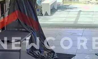 Imagem 3: Chácara em Estrada Cristóvão Machado de Campos - Vargem Grande - Florianópolis/SC