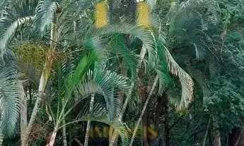 Imagem 6: Lindo Terreno no condomínio Vale do Lago