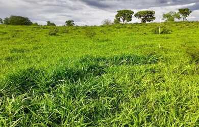 Imagem 5: Chácara com represa em maripotaba excelente oportunidade!