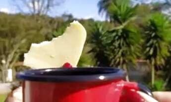 Imagem 3: Excelente sítio para carnaval,feriados,finais de semanas e datas comemorativas,casamentos