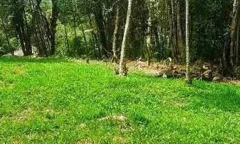 Imagem 2: Vendo lindo Lote/Terreno com RGI