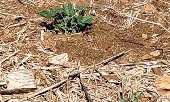 Imagem 7: Terreno Parque Via Norte