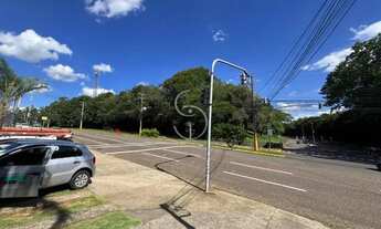 Imagem 2: LOJA Cristo Rei São Leopoldo