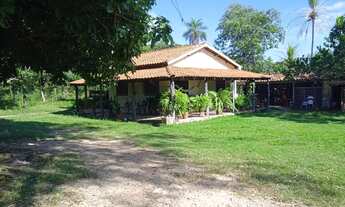 Imagem: VENDO!!! Um sítio de 20 hectares com ótima