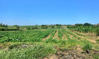 Imagem 6: Sítio Chácara com venda por R$90.000