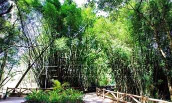 Imagem 5: Loteamento/condomínio à venda em Saint patrick, Sorocaba cod:55505