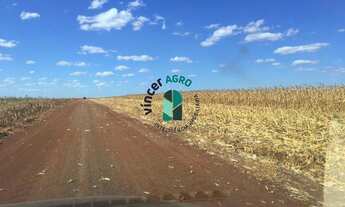 Imagem 2: Fazenda em Divinópolis do Tocantins