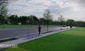 Imagem 3: Terrenos no 14 de Novembro