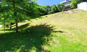 Imagem 4: GRAMADO - Terreno Padrão - Alphaville