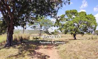 Imagem 2: Fazenda 70 Alqueires, 150 Km de Palmas