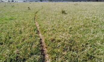 Imagem 6: Fazenda rural no município de caroebe