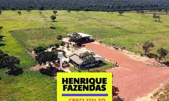 Imagem 6: Fazenda no Vale do Araguaia Dupla Aptidão
