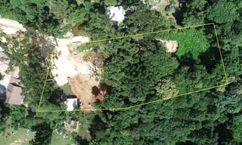 Imagem: Almirante Tamandaré - Mato Dentro - 3700