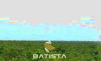 Imagem 2: Arrendamento Fazenda 274 Alqueires, 258 km de Palmas