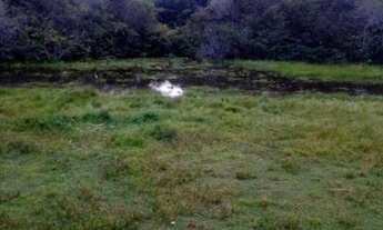 Imagem 3: São Miguel dos Milagres -AL