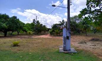Imagem 5: Granja com 3,5 em caiana na estrada de muriú, bom para loteamento,beira de pista