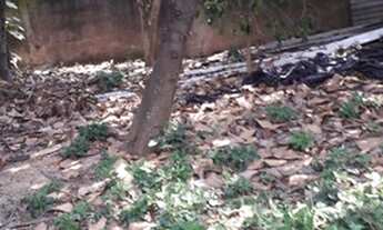 Imagem 7: Lote/Terreno ao lado do Metrô Capão