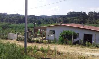 Imagem: Fazenda/Sítio/Chácara para venda tem 1200