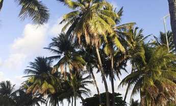 Imagem 6: Apt alugo, Beira mar do BESSA 1 quarto, sala, coz, wc social, todo mobiliado. 98687.6202