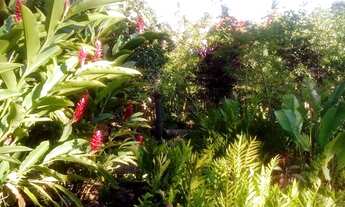 Imagem 2: TERRENO RESIDENCIAL em SUBAÚMA - BA, Entre Rios